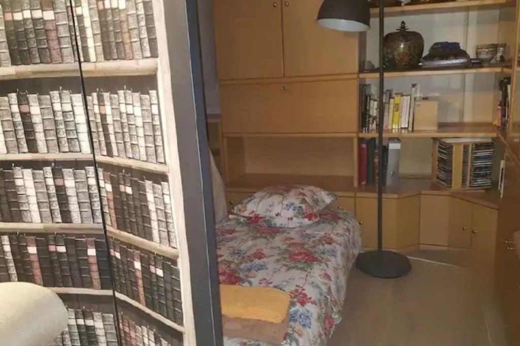 Duplex, Piano, Billard, Ping-pong, Jardin Appartement Genève