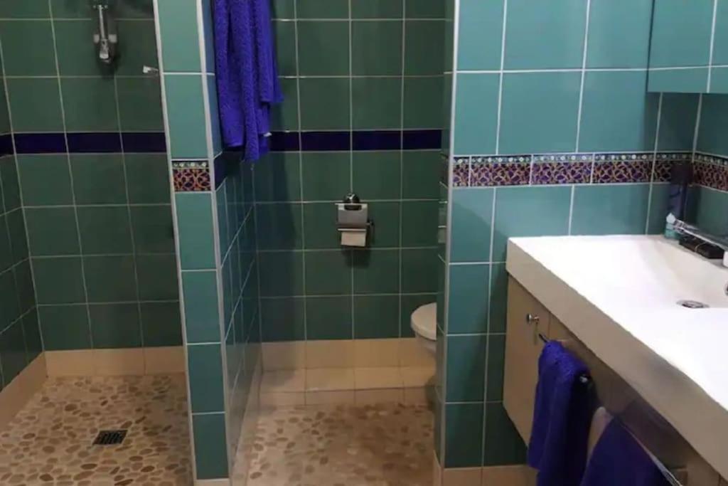 Duplex, Piano, Billard, Ping-pong, Jardin