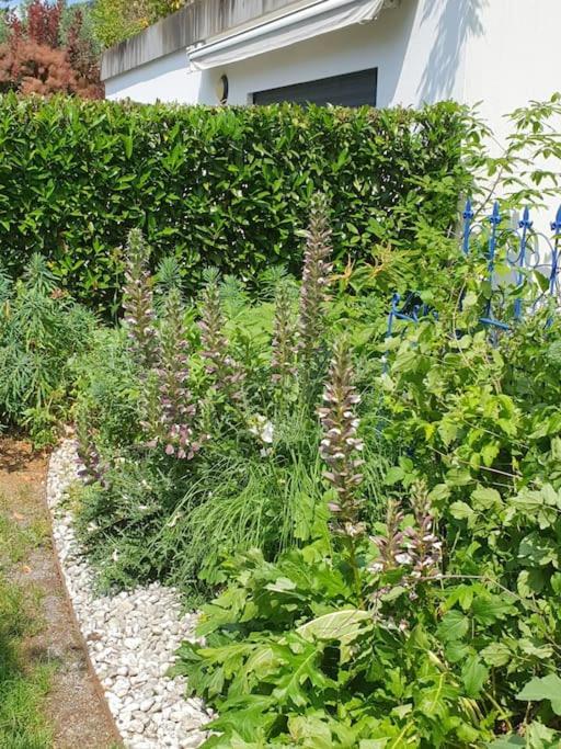 Duplex, Piano, Billard, Ping-pong, Jardin Apartment Geneva