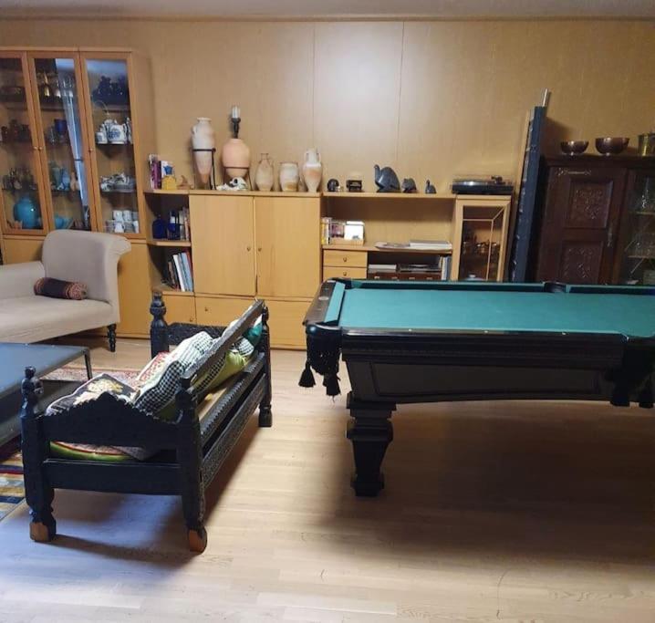 Duplex, Piano, Billard, Ping-pong, Jardin Apartment *
